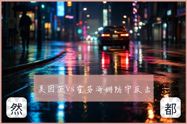美因茨vs霍芬海姆防守反击